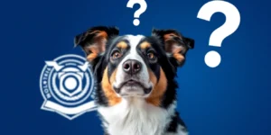 Iowa City Animal Services seeks info on dog bite incident.png