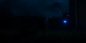 Pet rabbits found with necks broken in Griffith backyard as police seek information.png