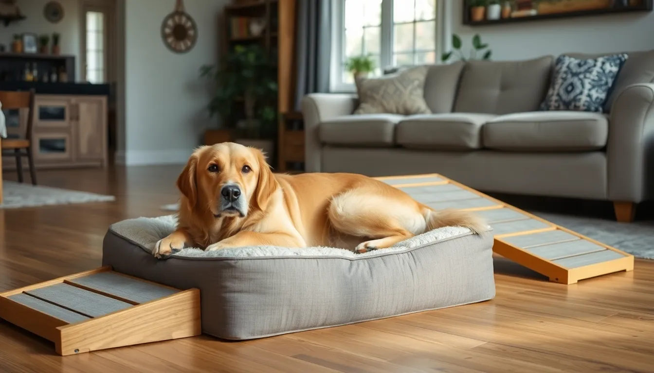 Top pet products for seniors with mobility issues