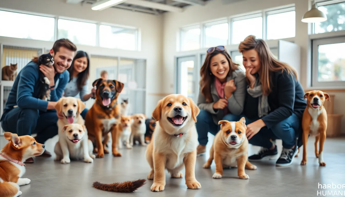 Pet Adoption Tuesday: Meet Kettle Corn!