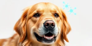 apoquel for dogs.png AI generated image using Flux AI
