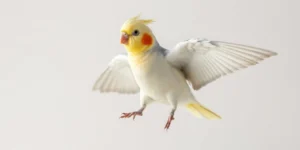 how to clip cockatiel wings safely.png AI generated image using Flux AI