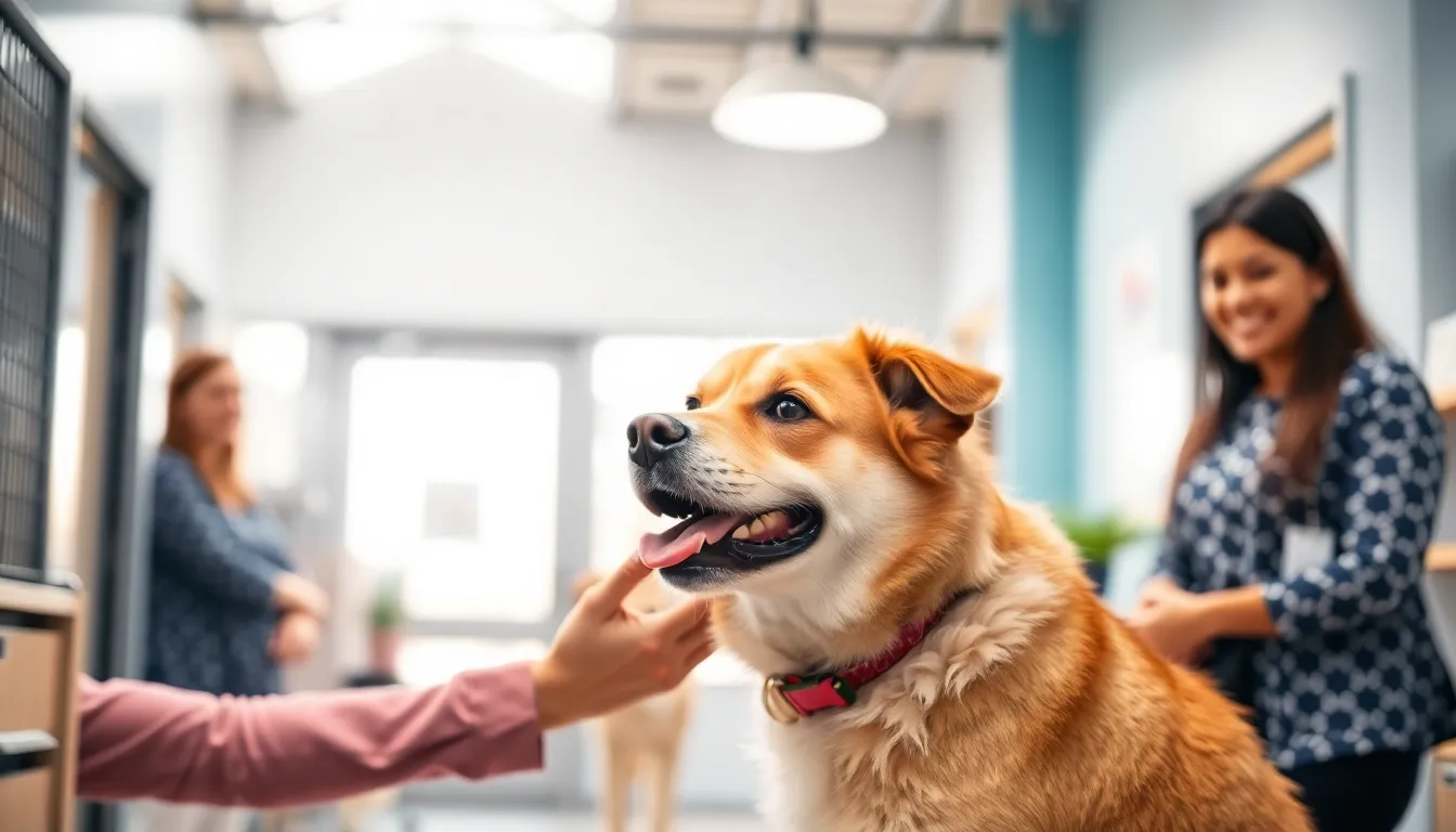 pet of the Week - Eureka Spring Times-Echo