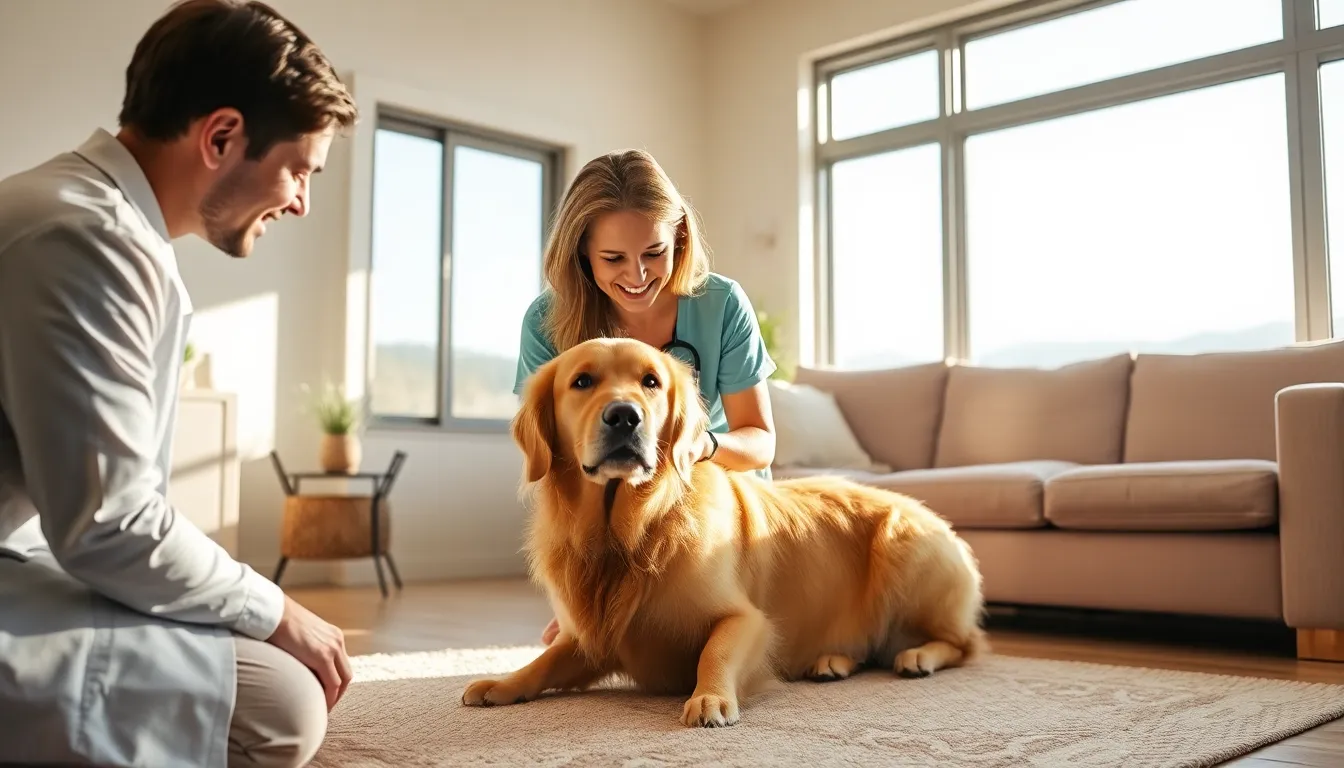 Mobile veterinarian, vetJamie, brings at-home animal care to Lake Tahoe residents