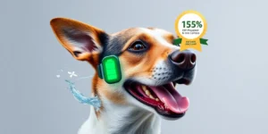 SATELLAI Collar Go, GPS Dog Collar with AI-Powered Health Analysis, 15-Day Battery Life, and More, Now Available for Pre-Order.png AI generated image using Flux AI