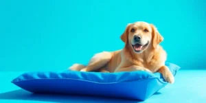 dog cooling mat for summer heat.png AI generated image using Flux AI